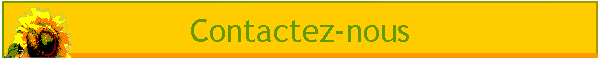 Contactez-nous