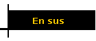 En sus