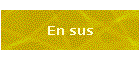 En sus
